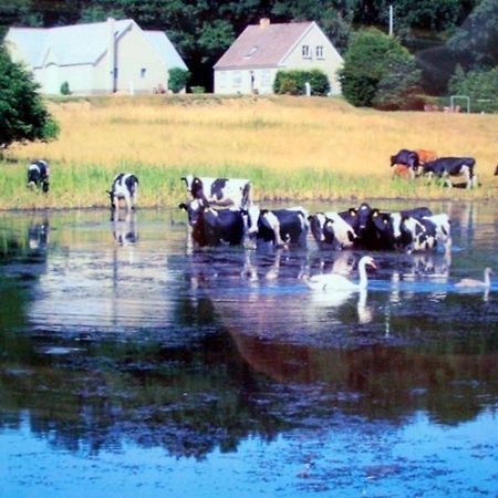 Engelsholm Bed & Breakfast Bredsten  Luaran gambar